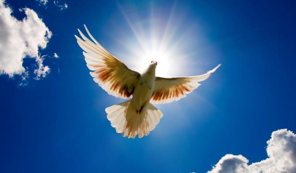 Saturn-Ketu conjunction and looming danger of  accidental death and  violence in 2019.