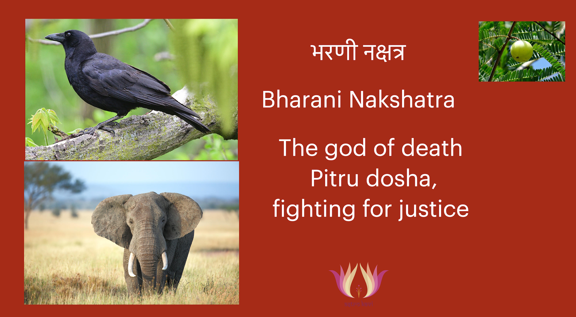 Bharani Nakshatra[The Yama (God of death)]