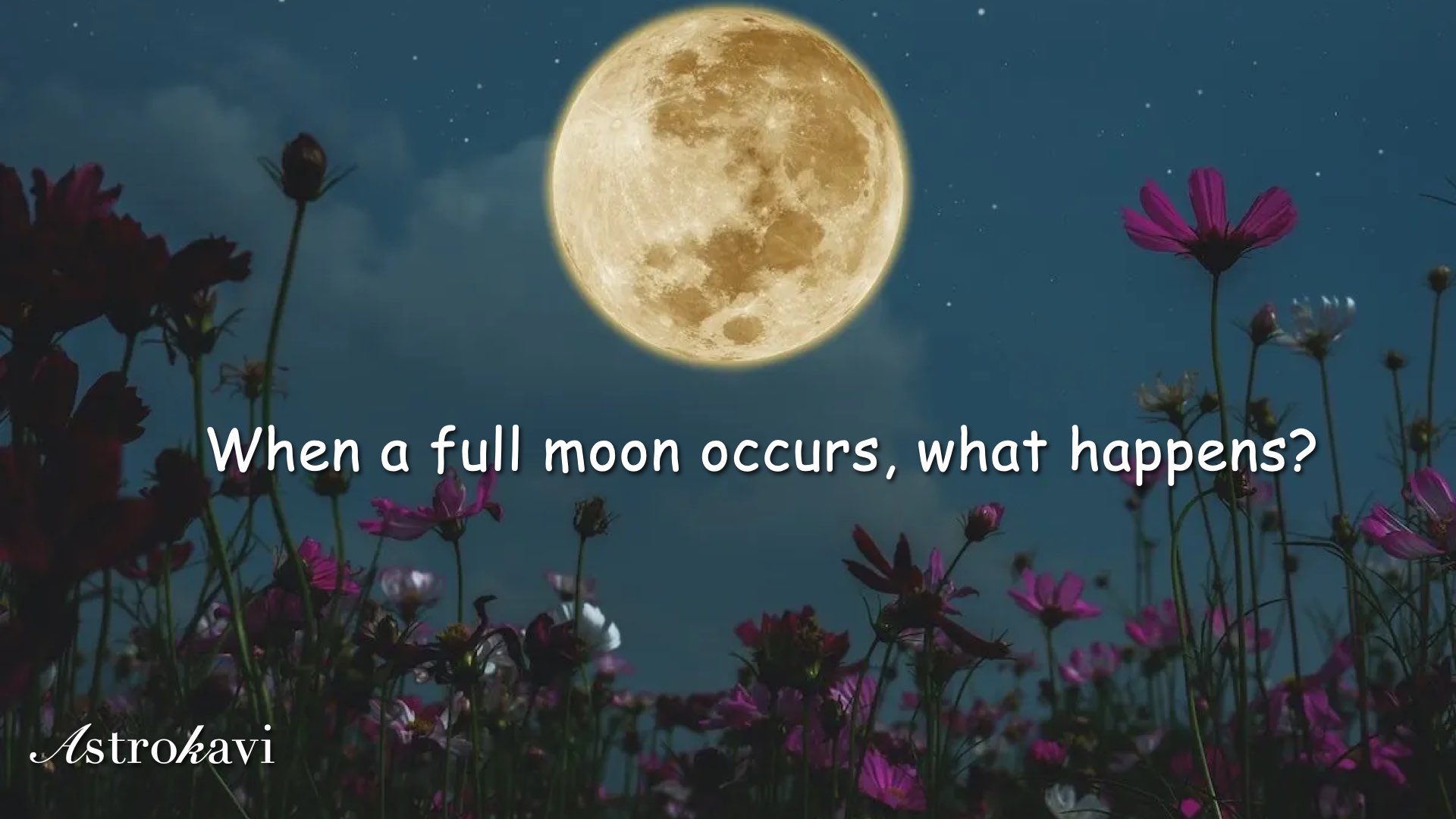 Full Moon(Purnima पूर्णिमा🌕)